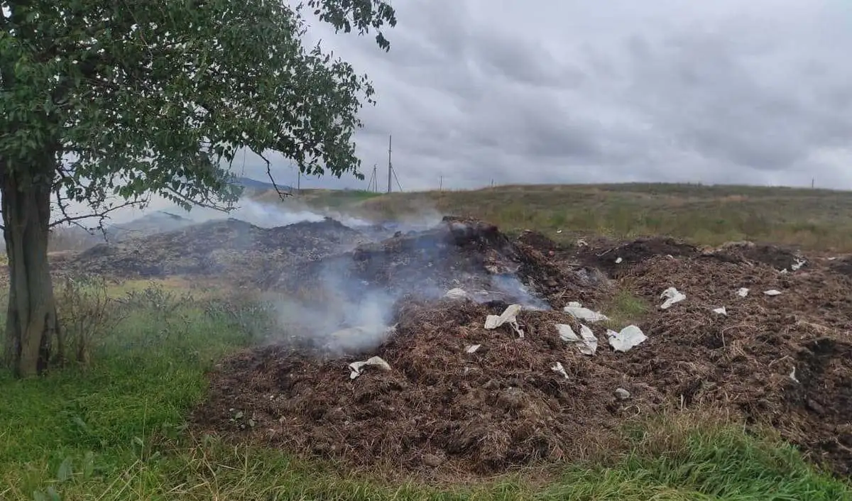 Новости Ингушетии: Минприроды Ингушетии зафиксировало нарушения в работе Троицкой птицефабрики