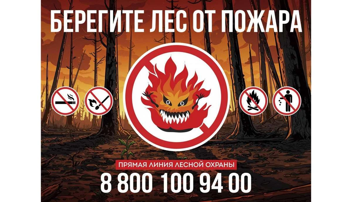 Новости Ингушетии: Сбережение лесных ресурсов России