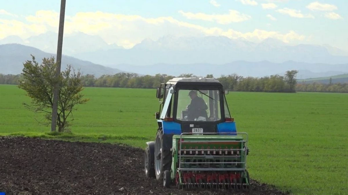Новости Ингушетии: Ингушский РСЦ заложил демоопыты по озимым культурам