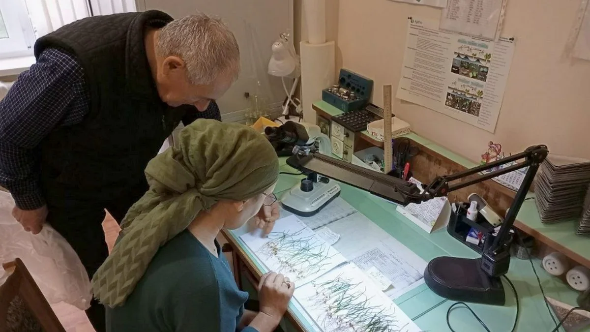 Новости Ингушетии: Около 200 тысяч гектаров исследовали специалисты  РСЦ Ингушетии