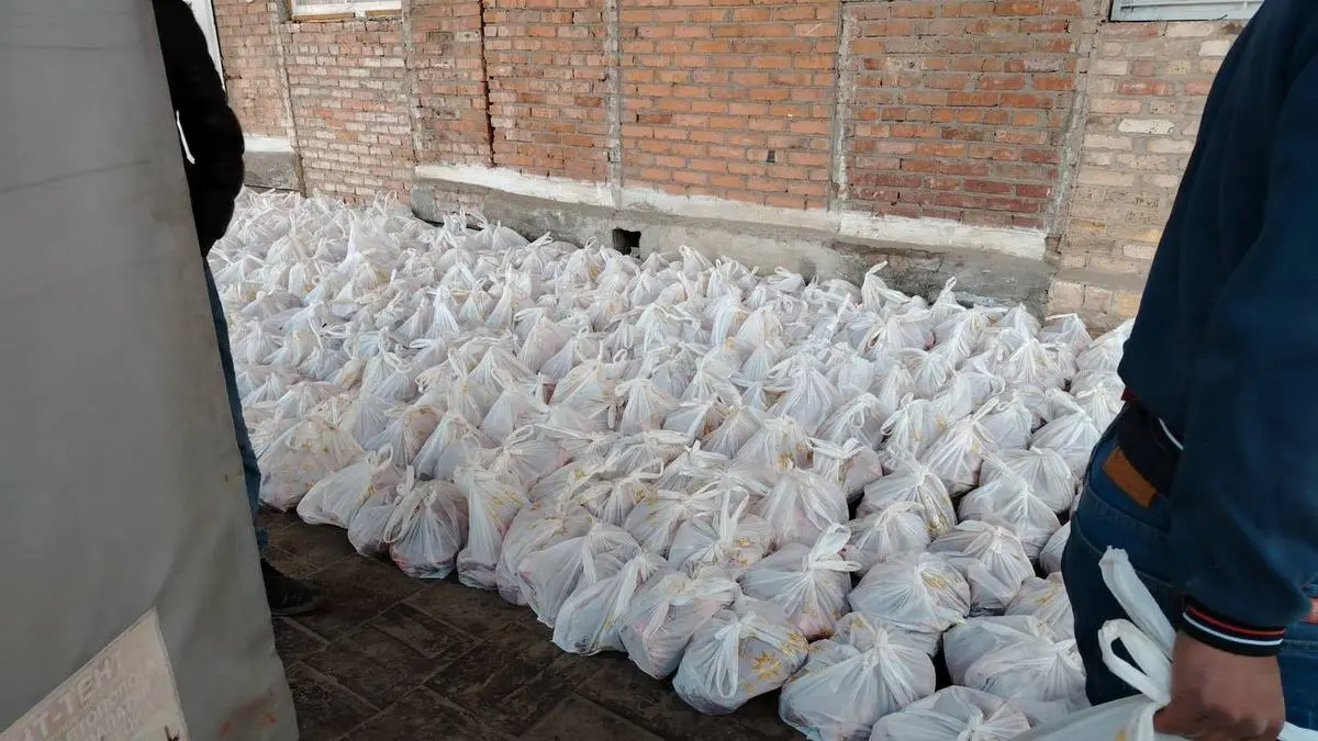 Новости Ингушетии: Добровольцы Ингушетии примут участие в акции «Мехка сагIа»