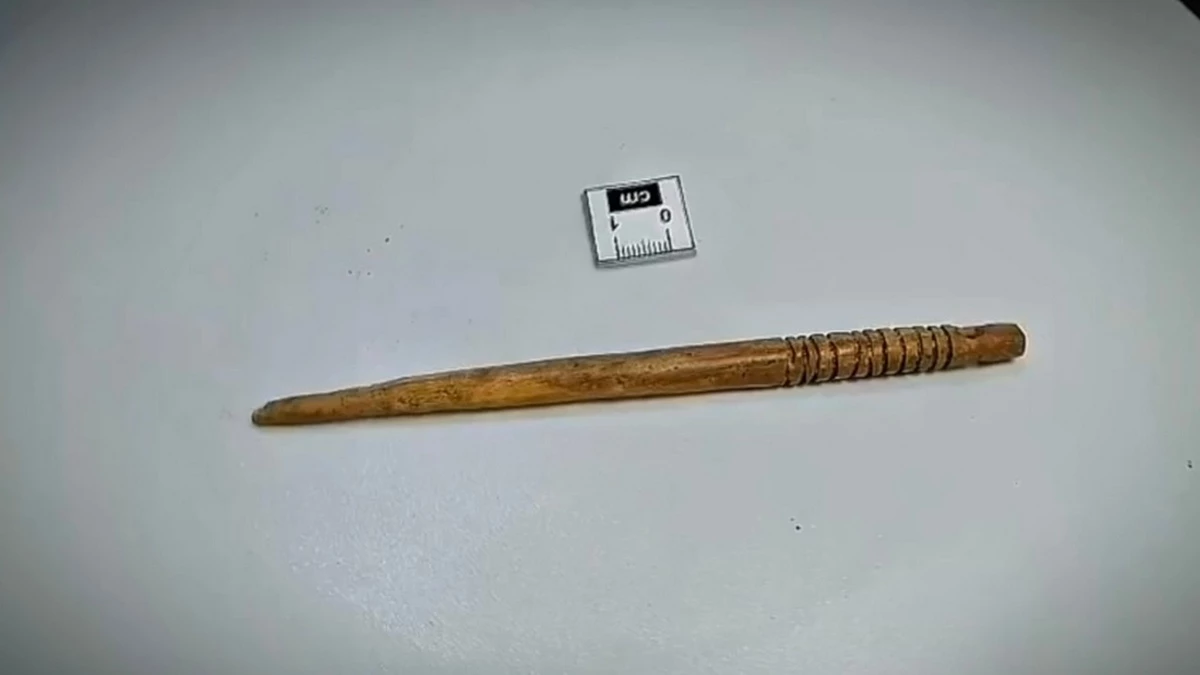 Новости Ингушетии: Археологи нашли в Нижнем Пуе Ингушетии женскую заколку для волос