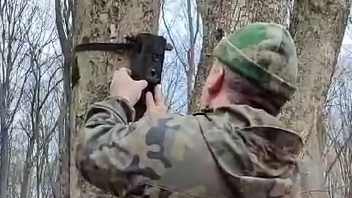 Новости Ингушетии: Фотоловушки в лесах Ингушетии помогут отследить диких животных