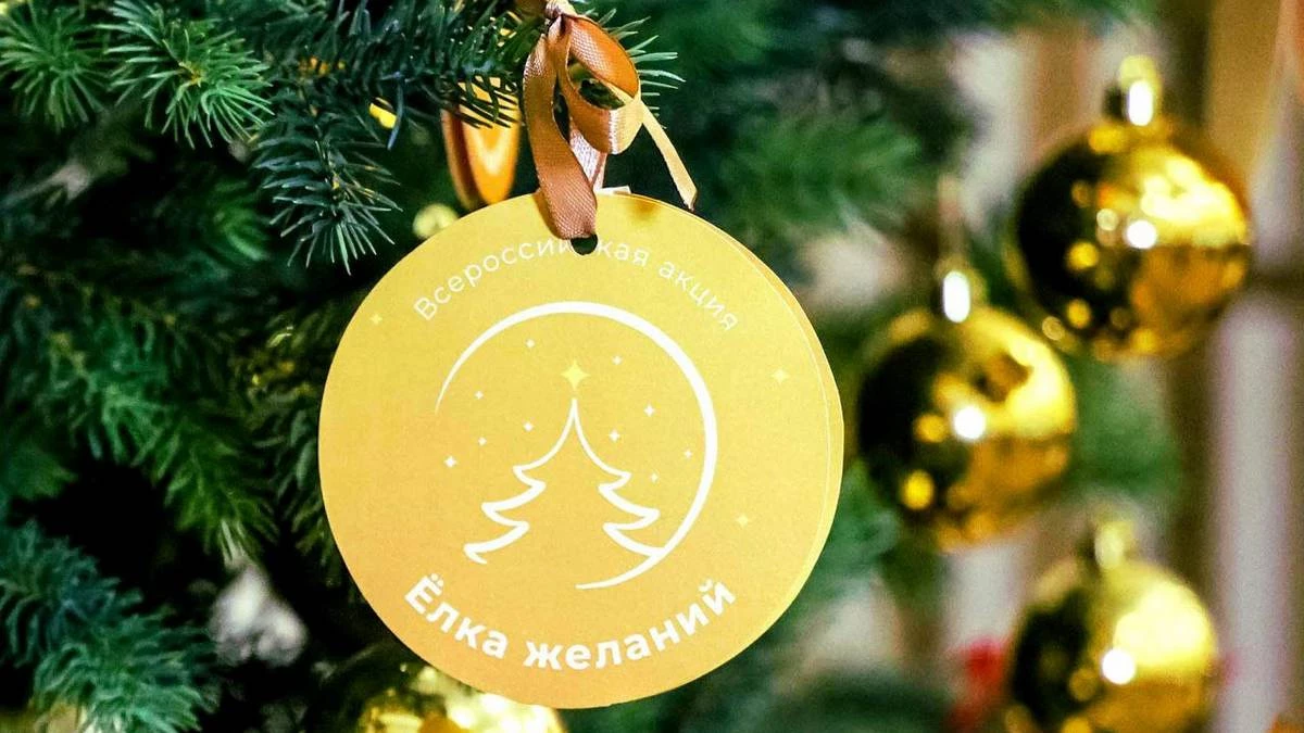 Новости Ингушетии: В Ингушетии стартует акция «Елка желаний»