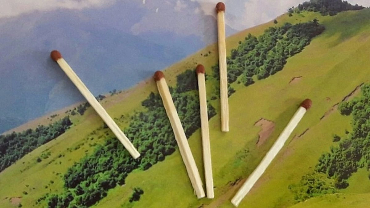 Новости Ингушетии: В Ингушетии сформированы планы тушения ландшафтных пожаров