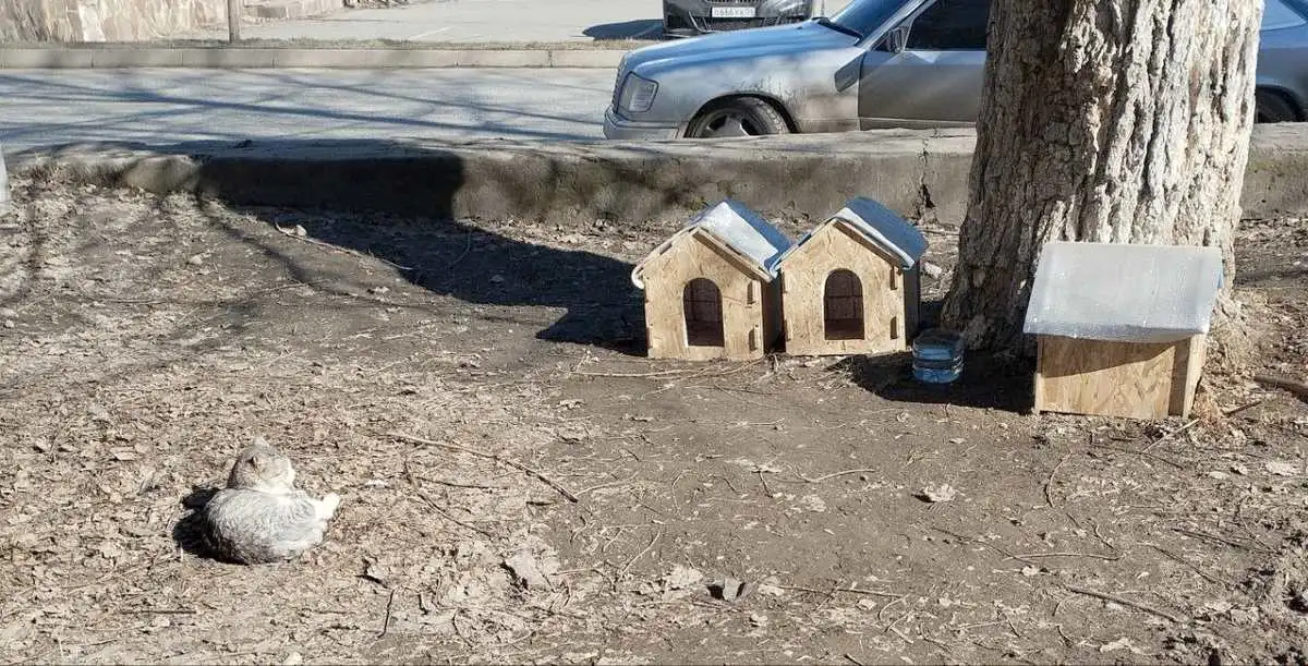 Новости Ингушетии: ГӀалгӀайчен 15% бахархоша ара лела дийнаташ кхоаб