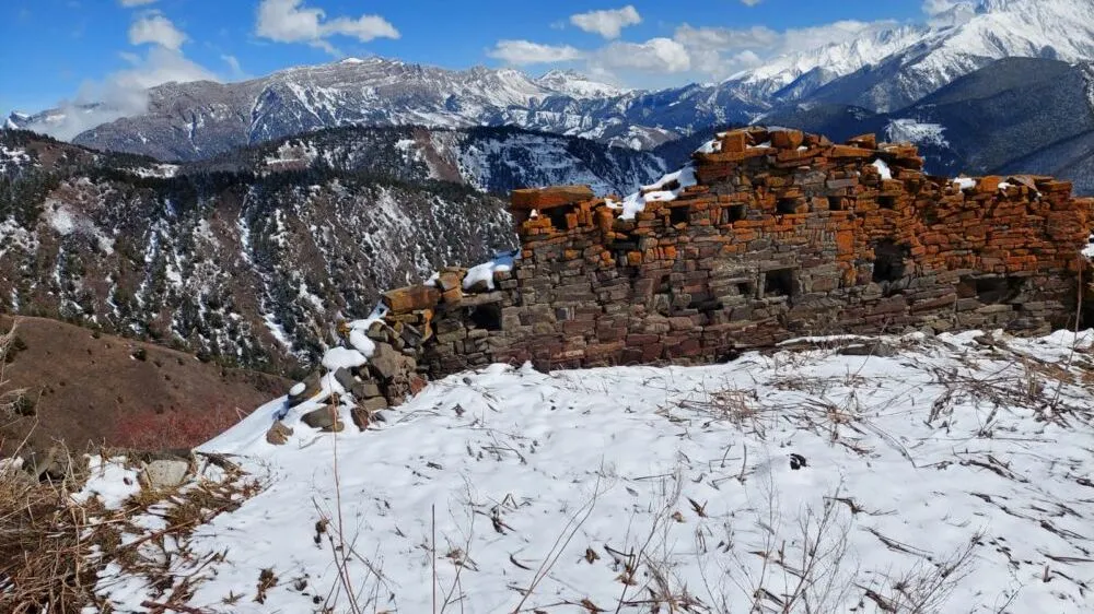 Новости Ингушетии: ГӀалгӀайче «Каштам» яхача гӀалай гӀовнашка хьежар