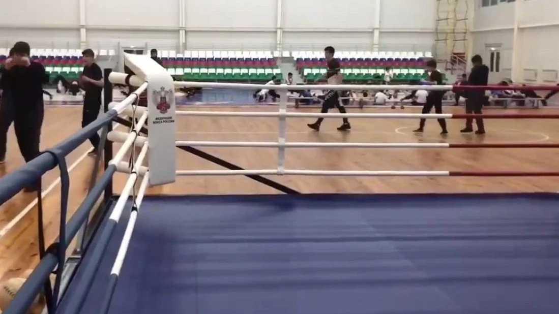 Новости Ингушетии: Юных боксеров Ингушетии поддержала Федерация бокса России