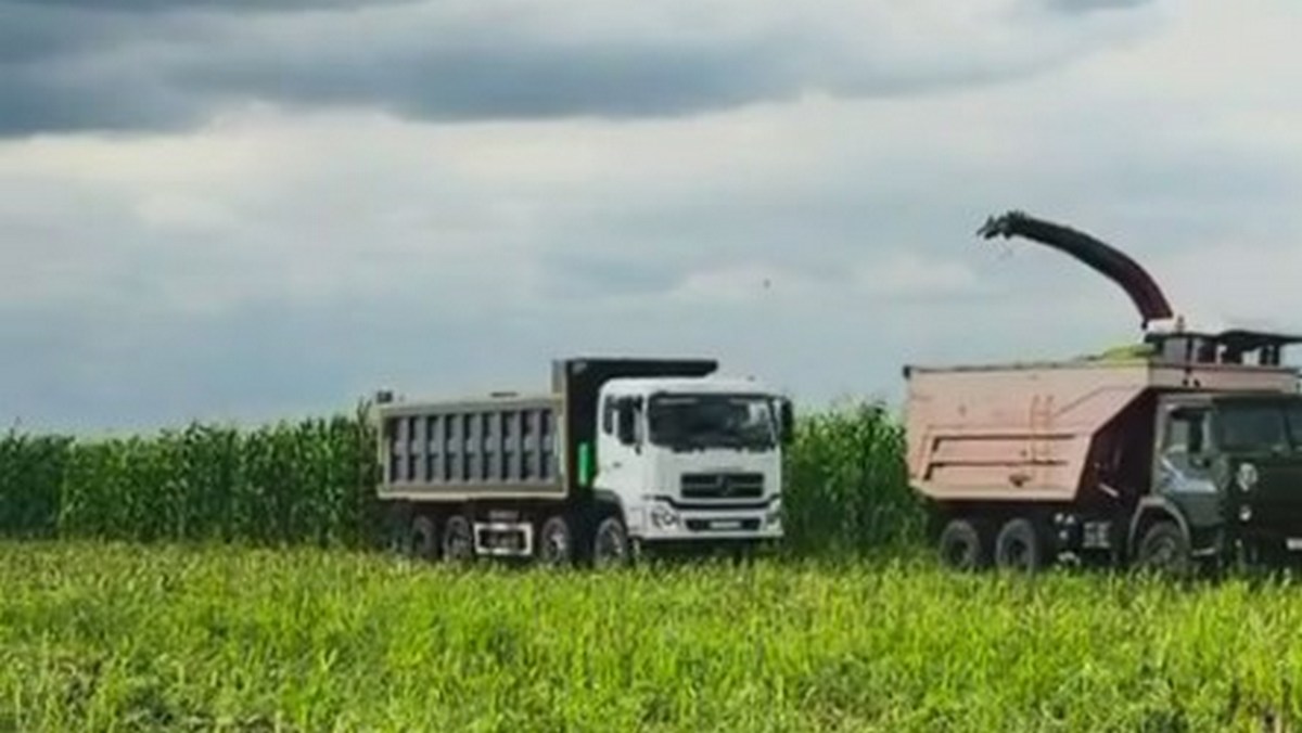 В Ингушетии проверили ход заготовки кормов к зиме в ООО «Магас»