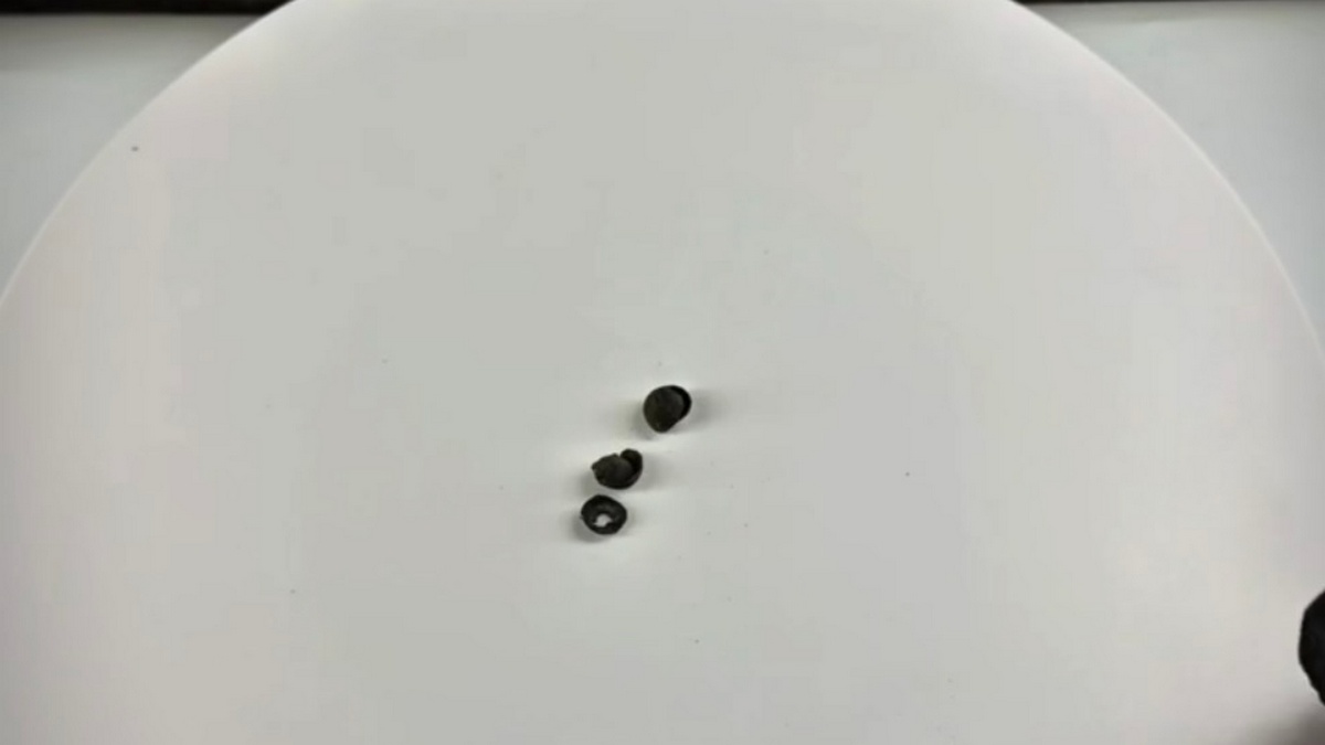 Археологи обнаружили в горной Ингушетии интересные артефакты