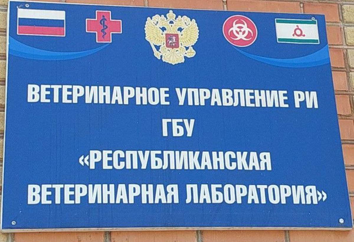 Новости Ингушетии: Ветеринары Ингушетии успешно прошли аттестацию