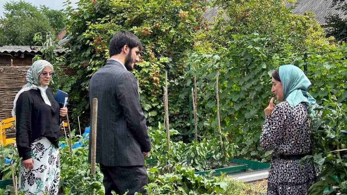 Новости Ингушетии: В Ингушетии обладатели лучшего ЛПХ будут щедро награждены