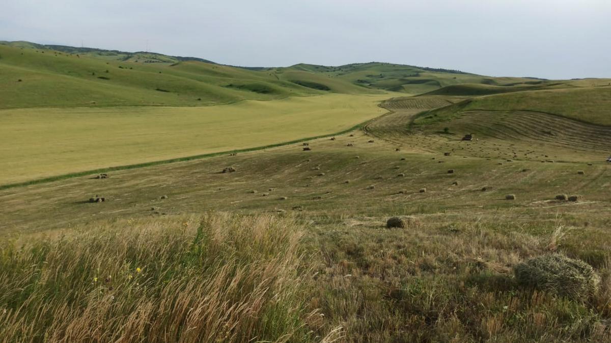 Россельхозцентр Ингушетии проводит обследование полей и лесополос