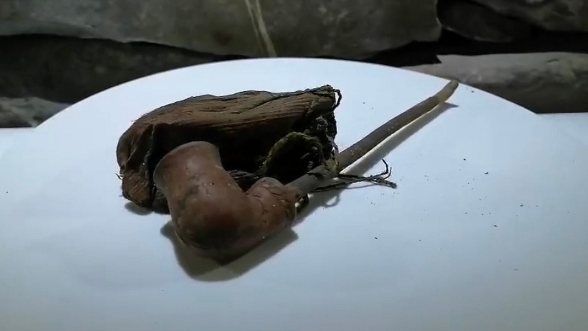 Новости Ингушетии: 17-18-ча бӏаьшерашкара хӏамаш кораяьй, вай лоаман моттигашка