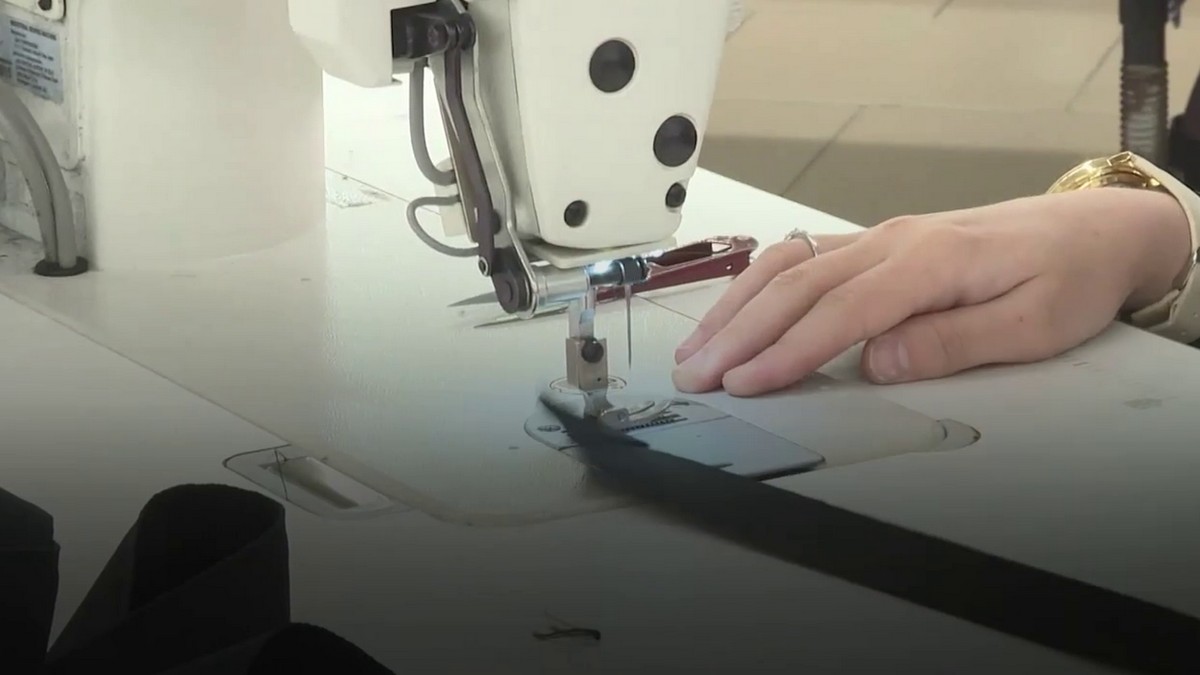 Новости Ингушетии: В Ингушетии ветераны СВО смогут трудоустроиться