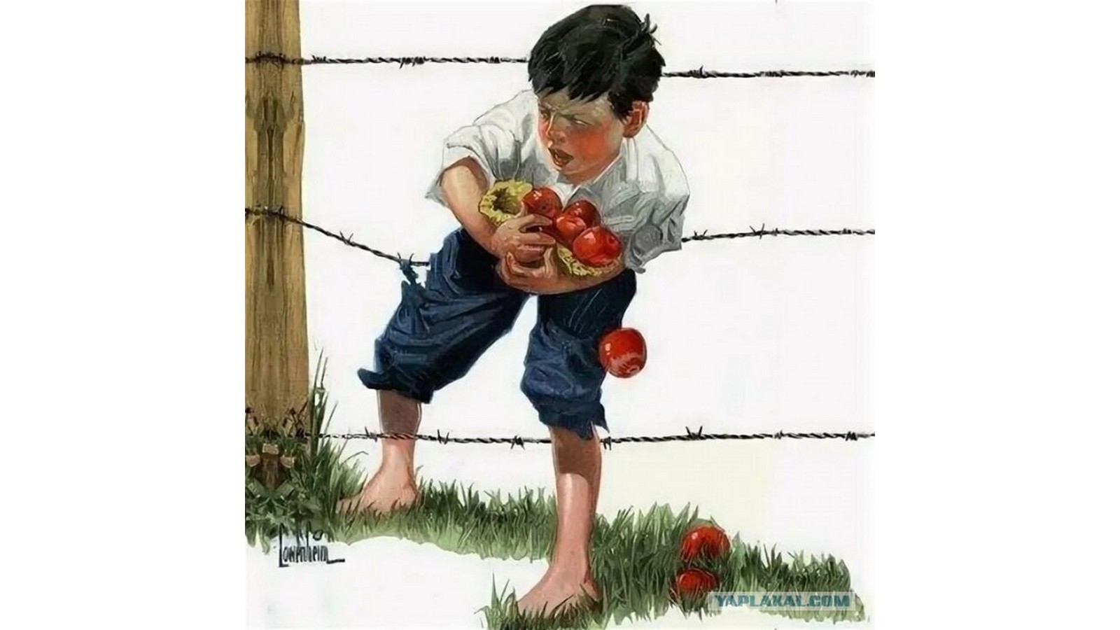 Новости Ингушетии: Ахкан хана нийслуча моттигех