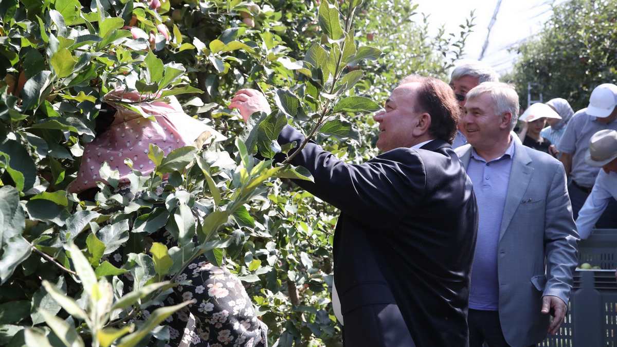 Новости Ингушетии: Калиматов: Мы наблюдаем подъем в сельском хозяйстве