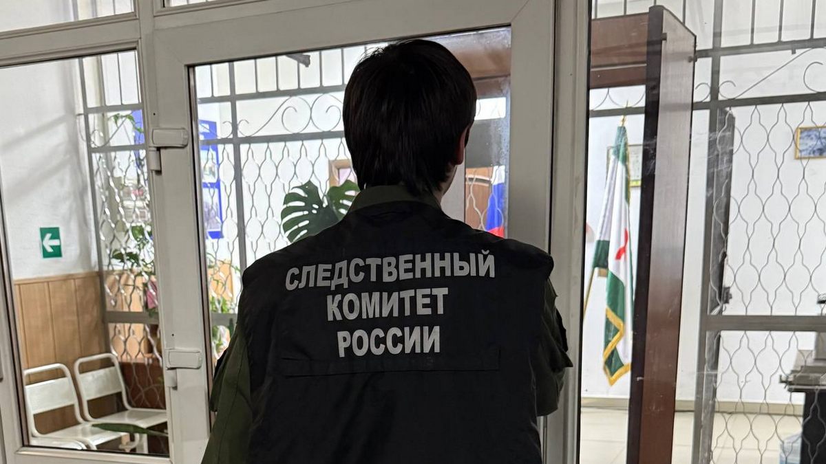 Следком Ингушетии завел дело о незаконных выплатах в медучреждении региона