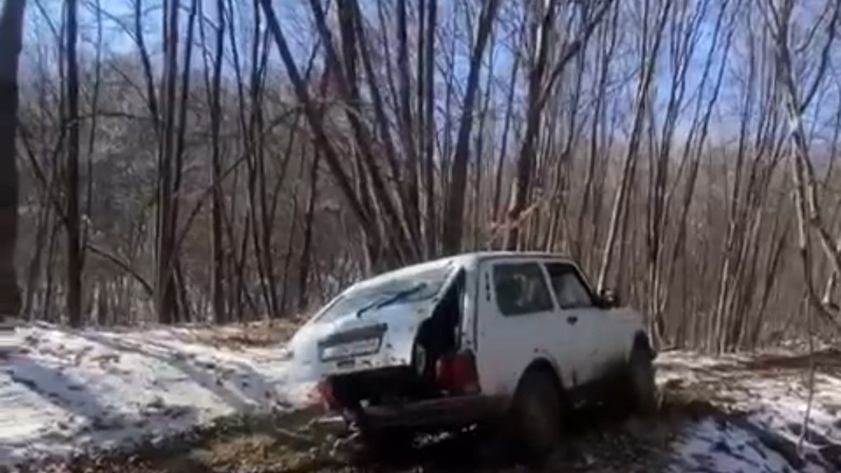 Сохранность деревьев Сунженского леса проверили в Ингушетии