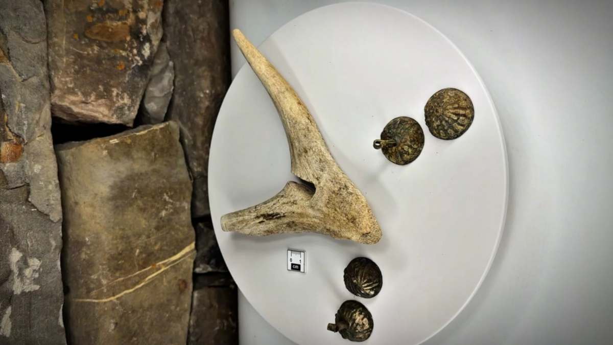 Посох жреца обнаружили в  башенном комплексе Нижний Пуй Ингушетии