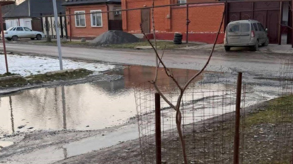 Народный фронт Ингушетии отреагировал на призыв о помощи от жителей Сунжи