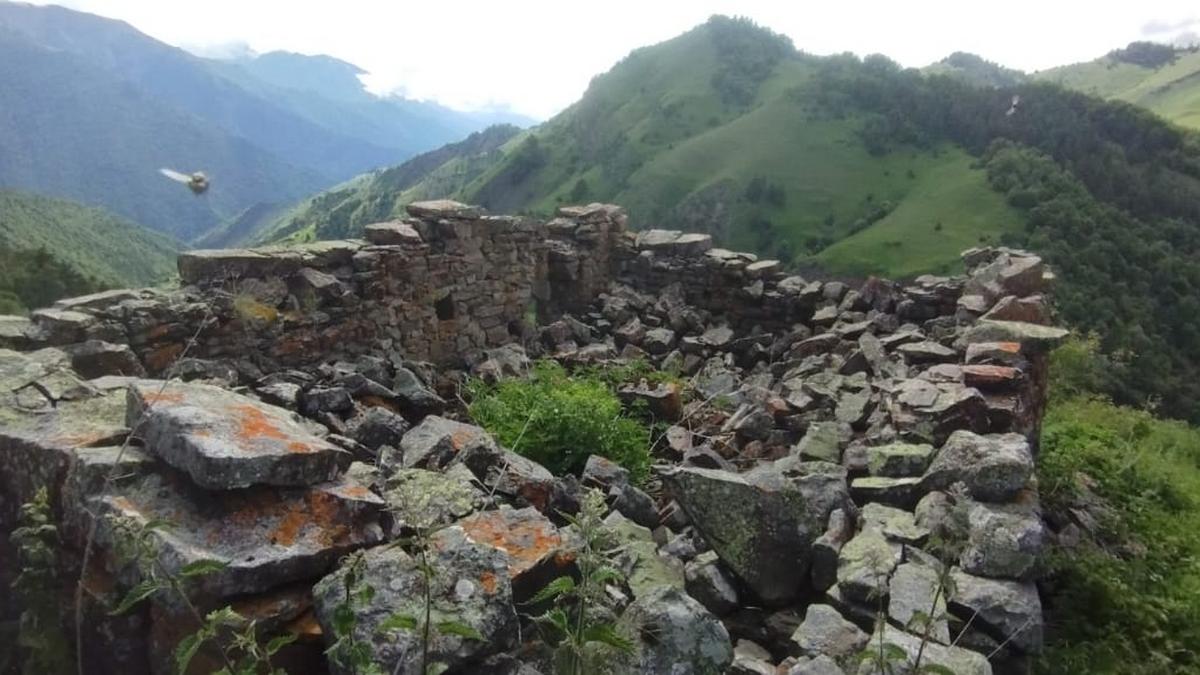 В горах Ингушетии проинспектировали башенный комплекс «Гвези»