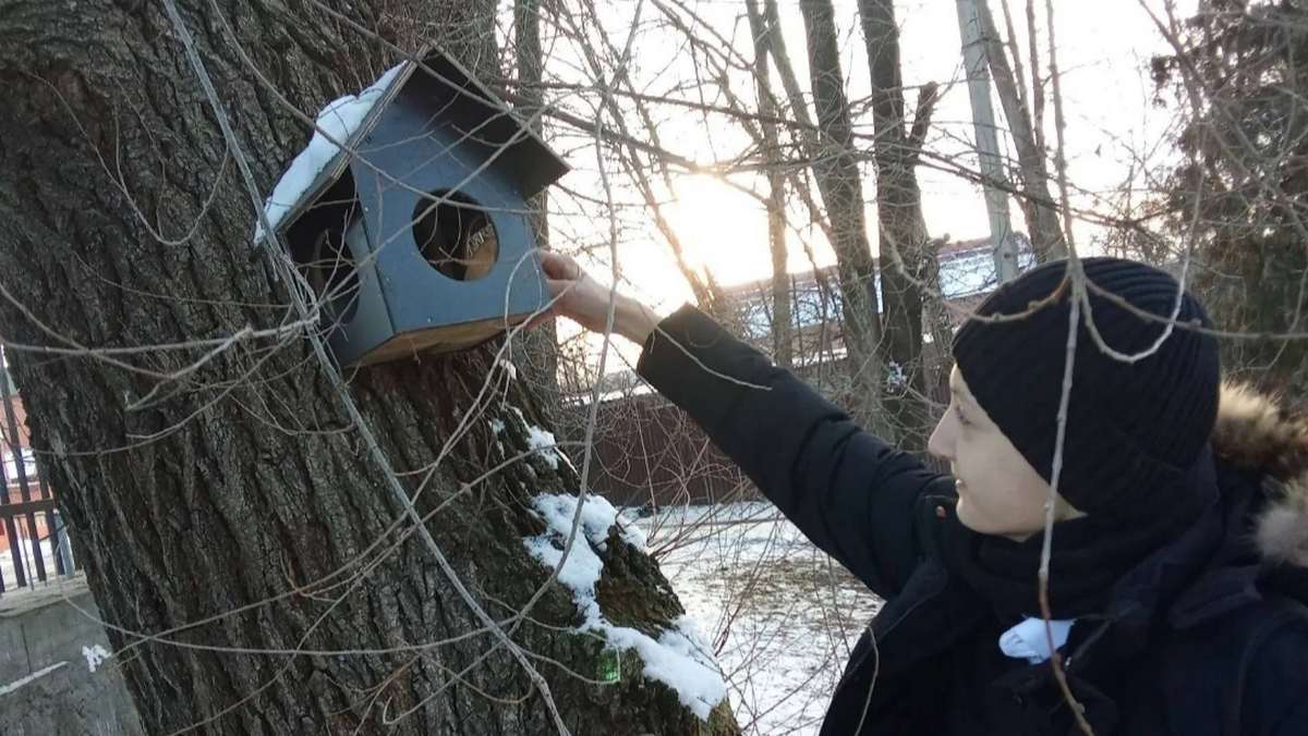 Юннаты  Ингушетии приняли участие в акции «Покормите птиц зимой»