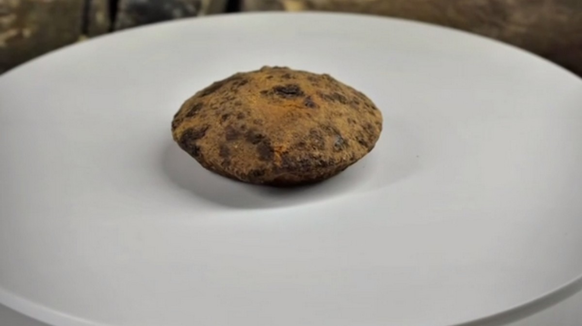 Ювелирная наковальня обнаружена археологами в Нижнем Пуе Ингушетии