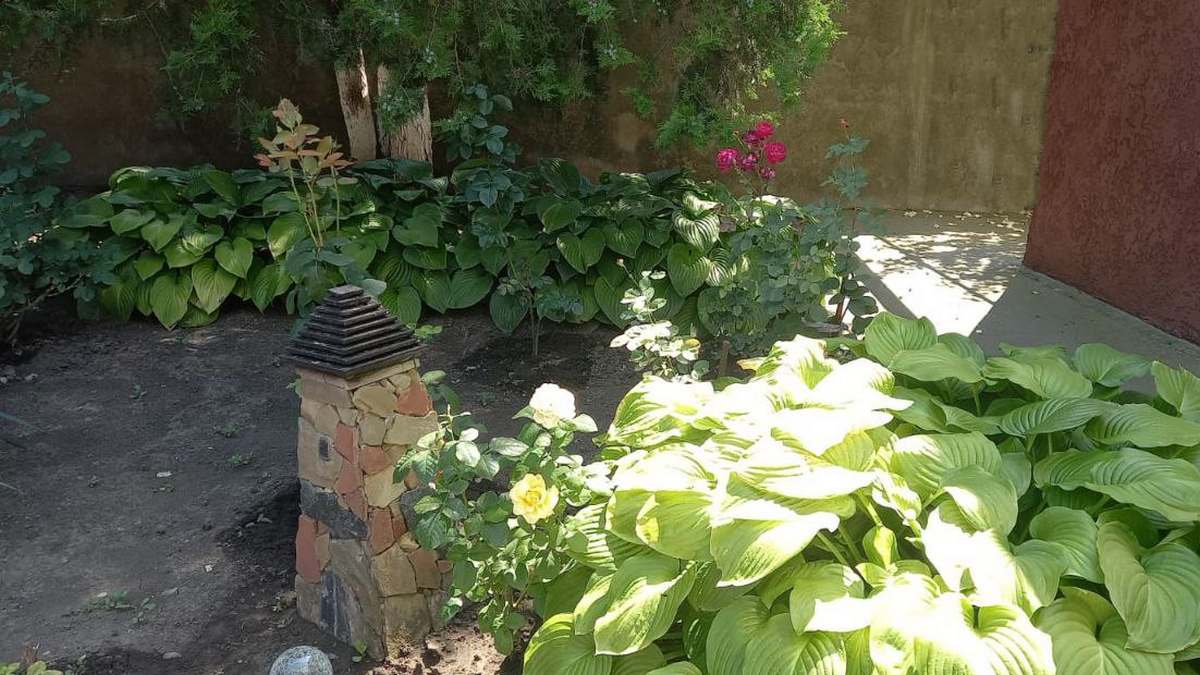 Тысячи красивых роз украсят общественные территории столицы Ингушетии