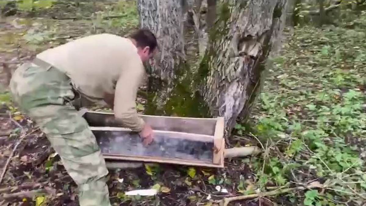 Новости Ингушетии: Егеря Ингушетии регулярно проводят подкормку диких животных