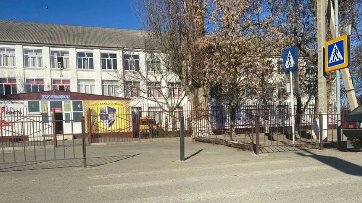 Школьники Малгобека помогают бездомным кошкам