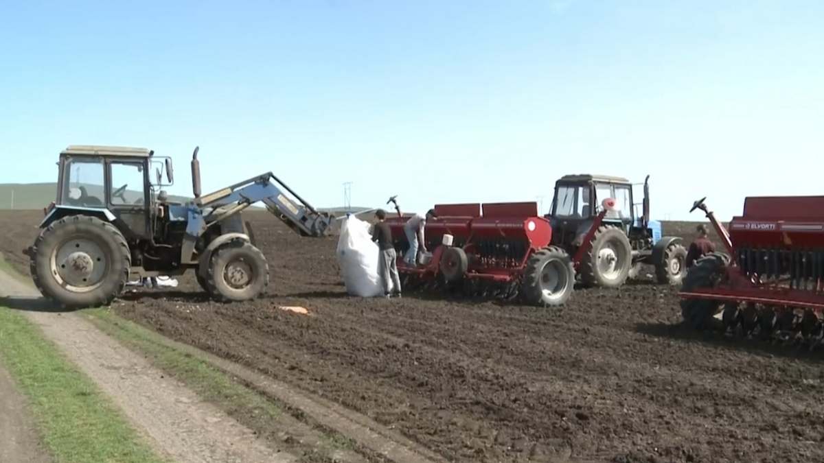 Агропромышленный комплекс Ингушетии показывает устойчивый рост