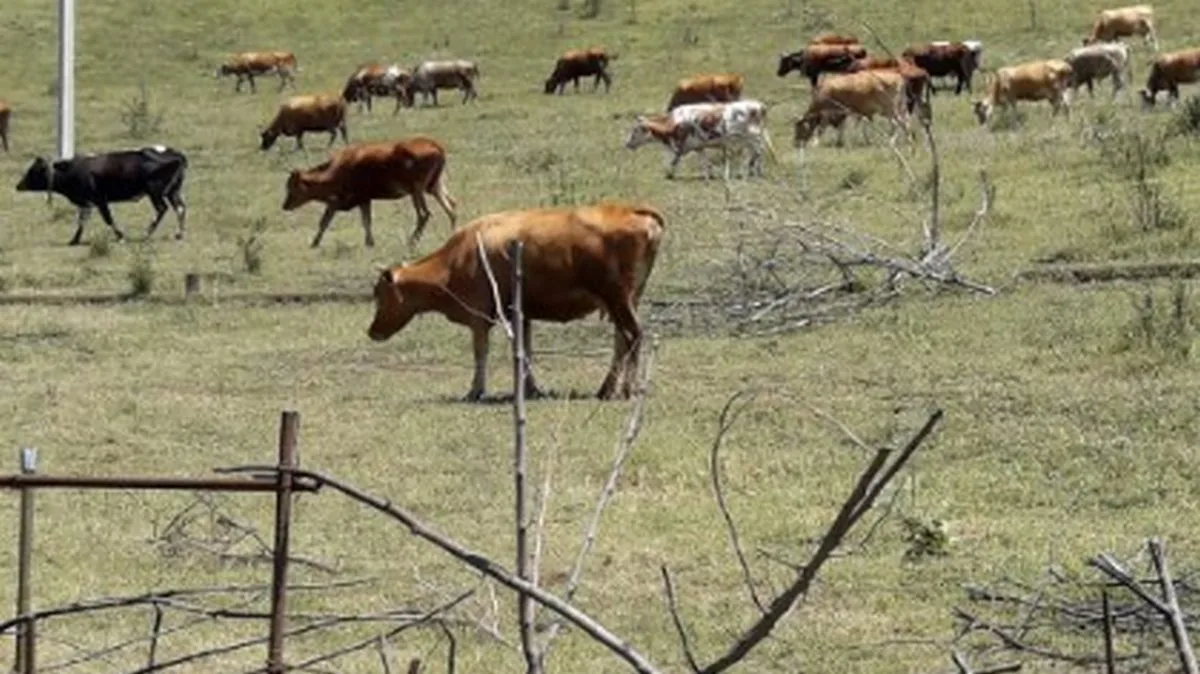Новости Ингушетии: Жителей двух районов Ингушетии предупредили об обработке полей