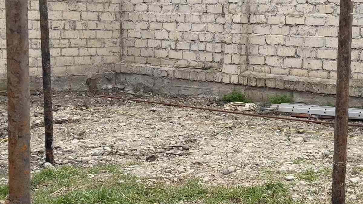 Новости Ингушетии: Новый пункт содержания безнадзорных животных появится в Сунже