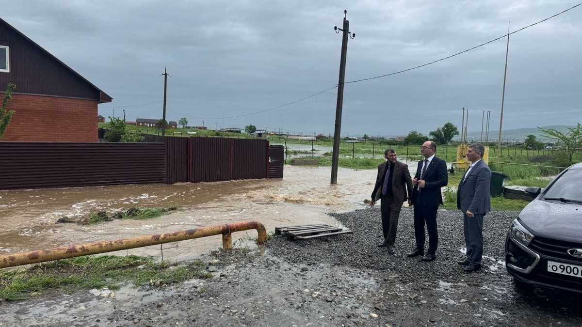 Мэр Карабулака держит поводковую ситуацию на личном контроле