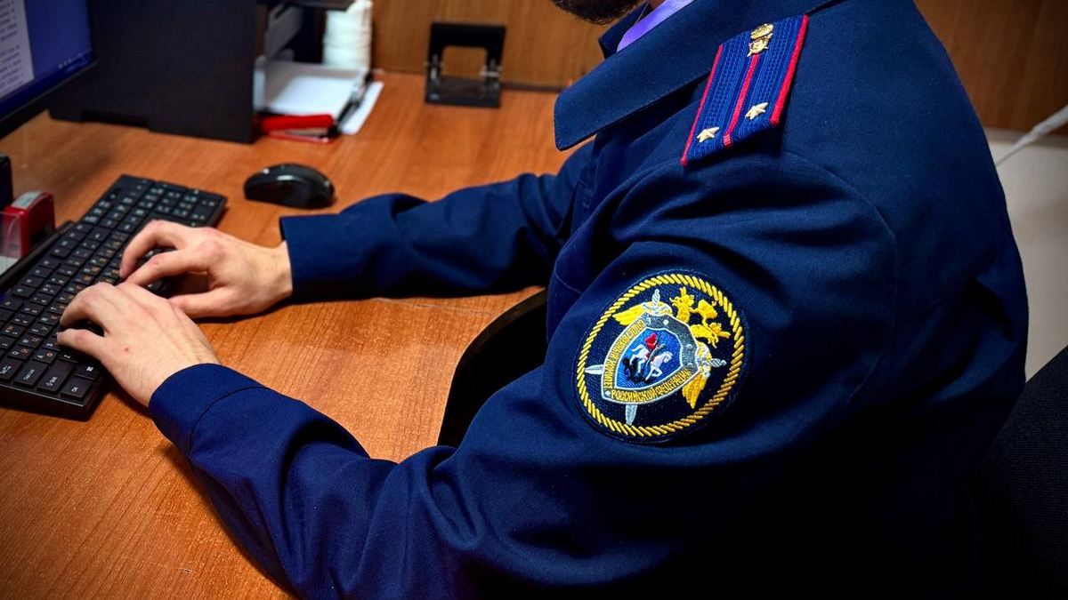 Суд в Ингушетии рассмотрит дело о лишении жилья несовершеннолетних наследников