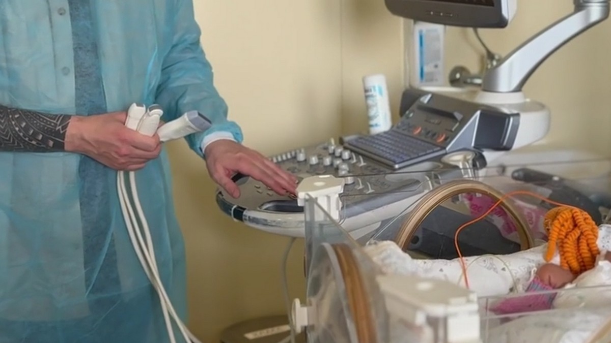 Новости Ингушетии: В Ингушетии специалисты повышают свои знания о здоровье матери и ребенка