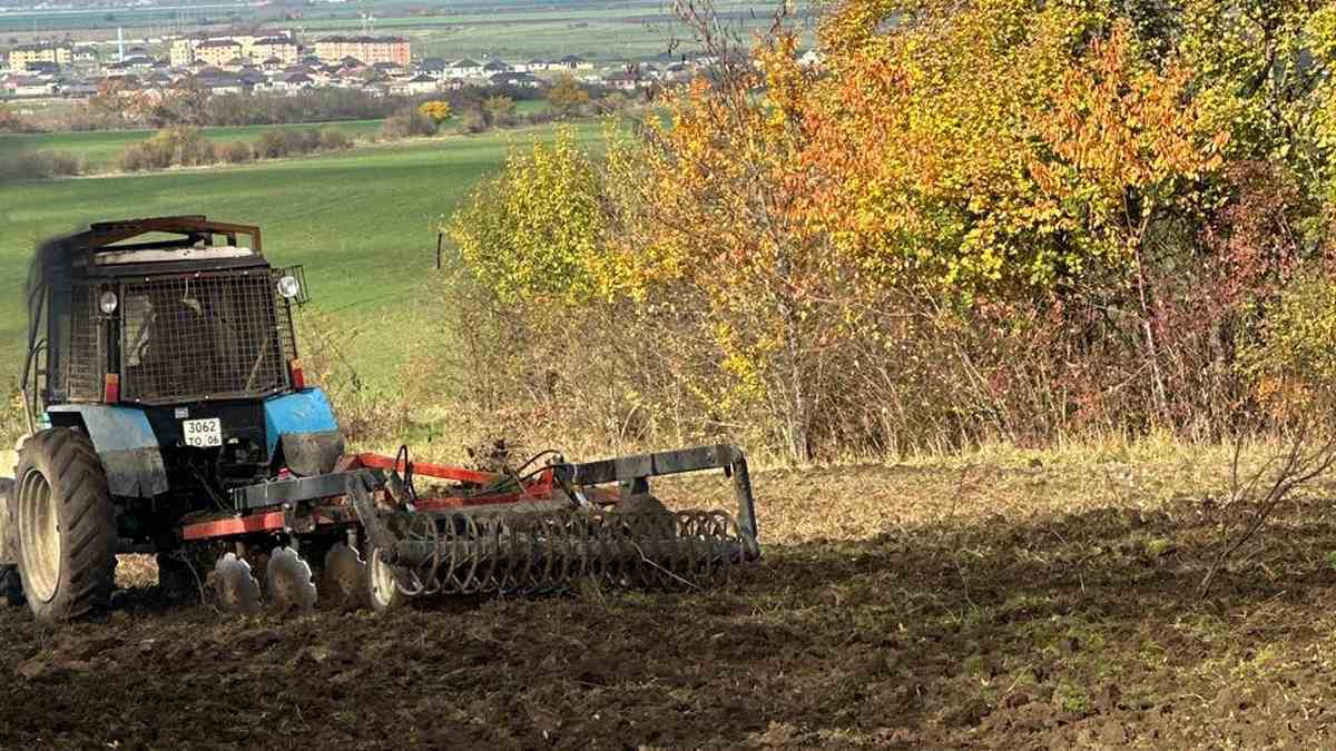 В Сунженском лесничестве Ингушетии подготовлена почва для растений