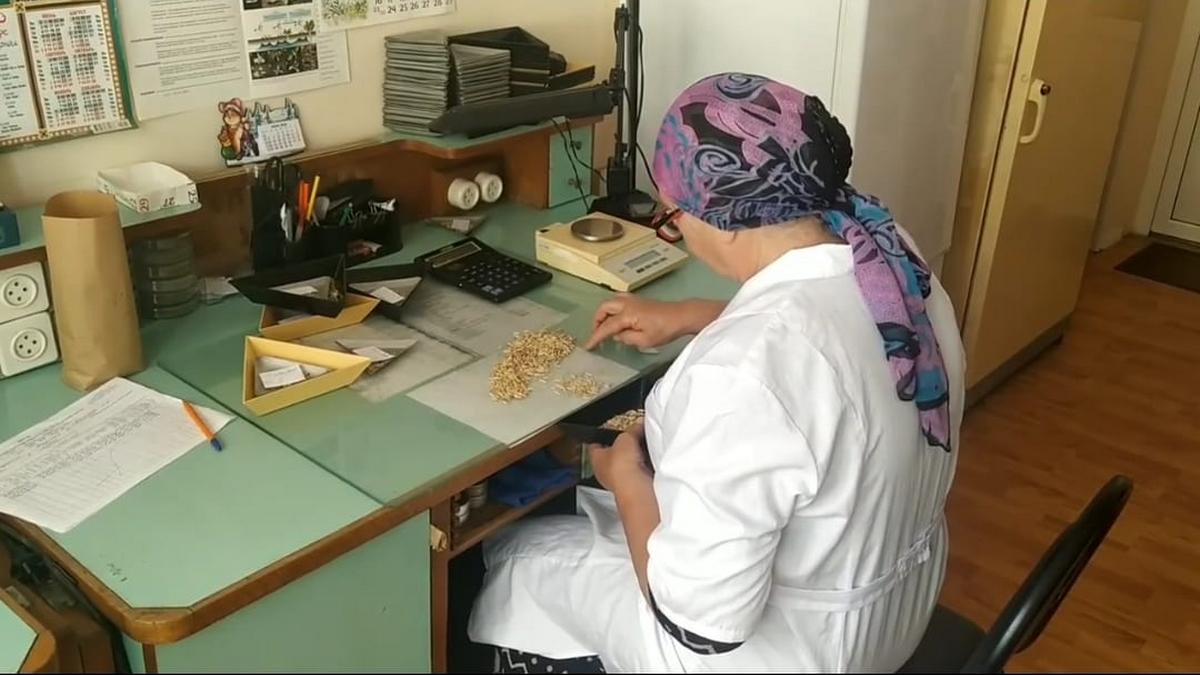 Специалисты провели в Ингушетии большую работу по защите растений