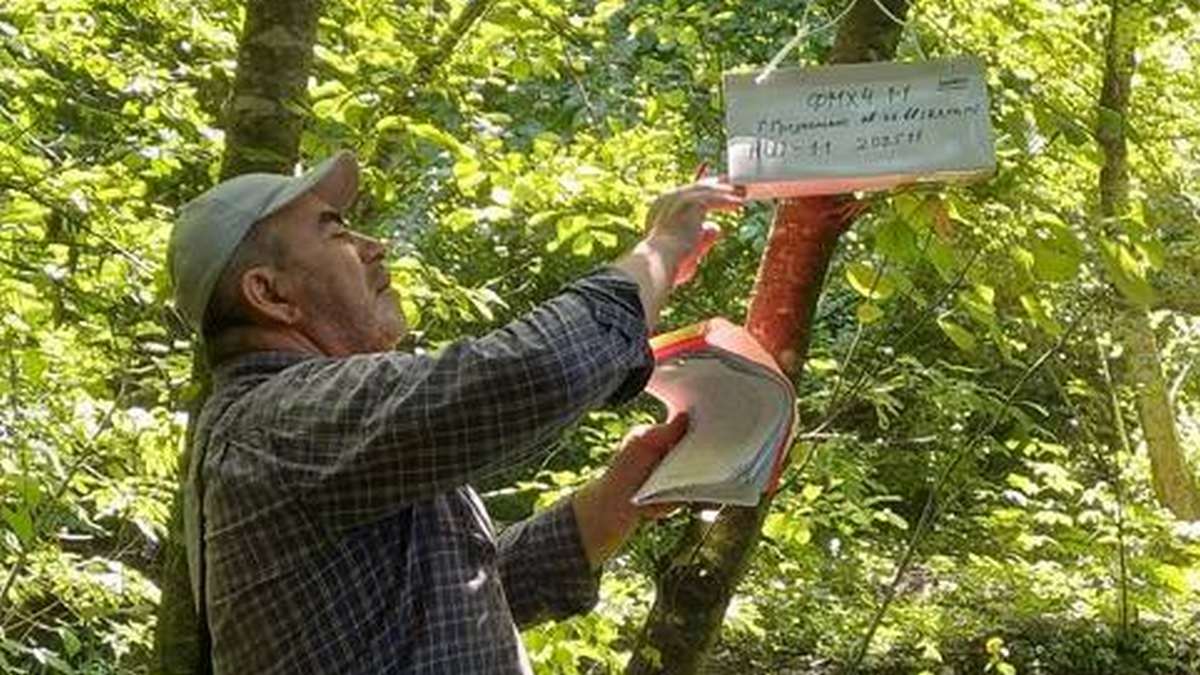 В лесах Ингушетии ситуация с вредными организмами не вызывает опасений