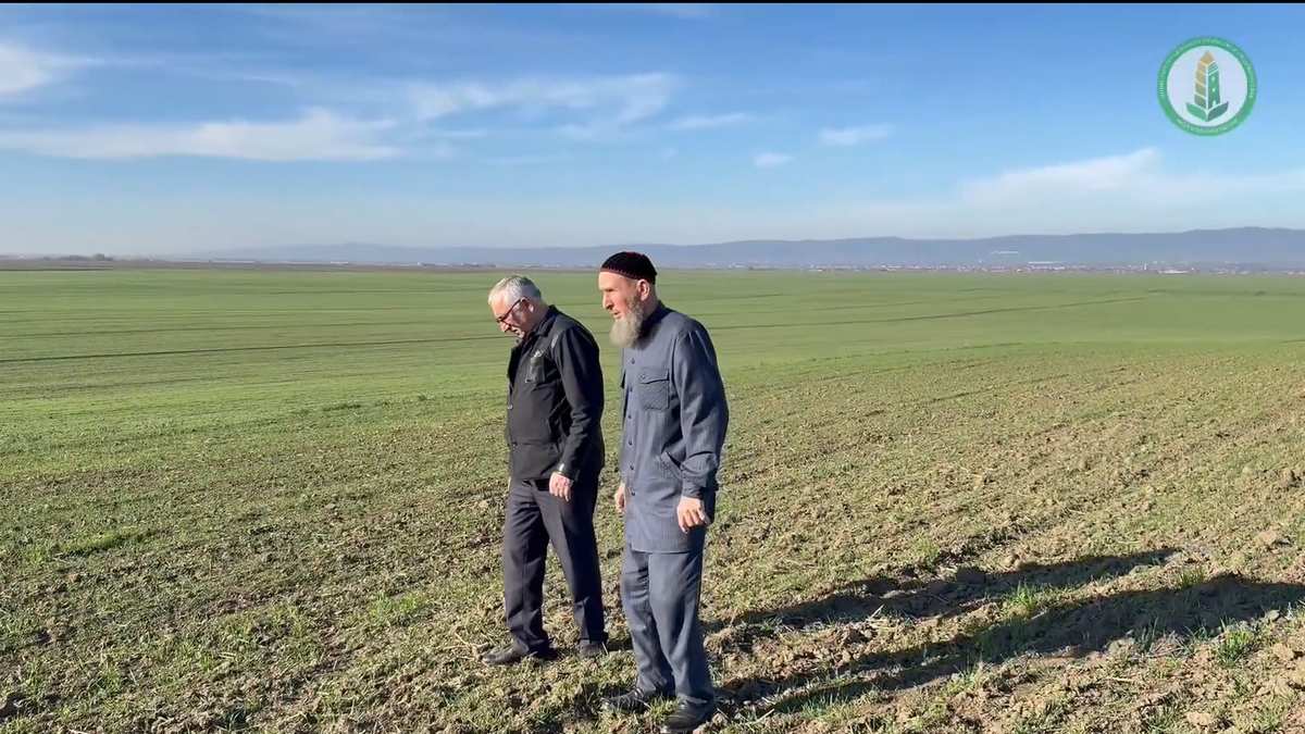Новости Ингушетии: В Ингушетии посевная кампания близится к завершению