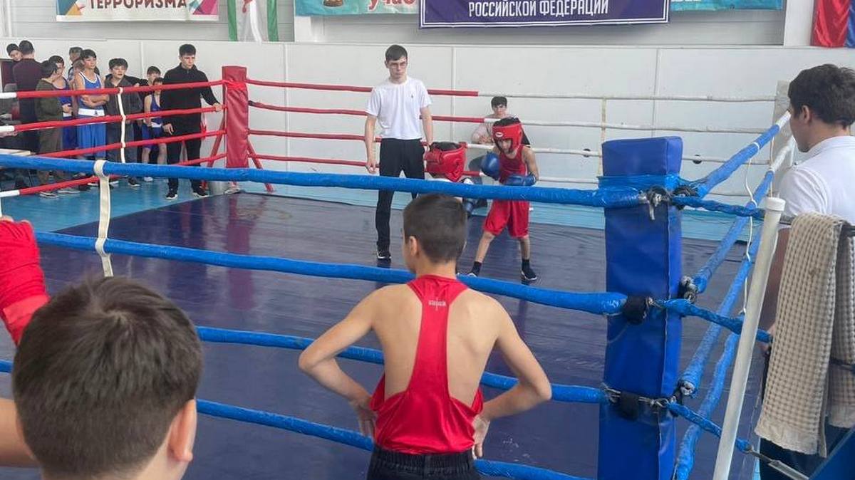 Боксеры Малгобекского района отдали дань уважения стражам закона