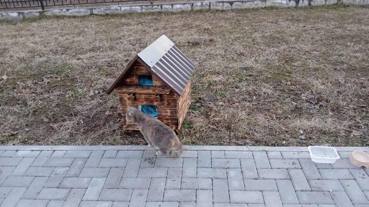 В Сунже и Карабулаке Ингушетии установили домики для бездомных животных