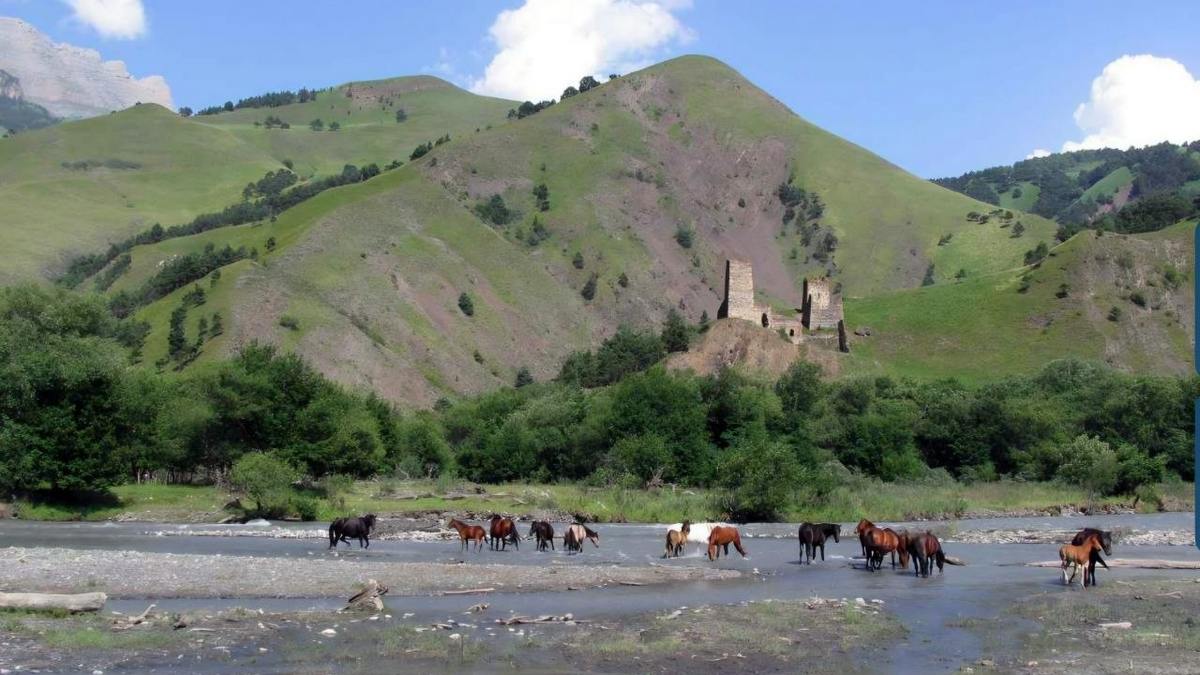 В горной Ингушетии обнаружены новые памятники истории