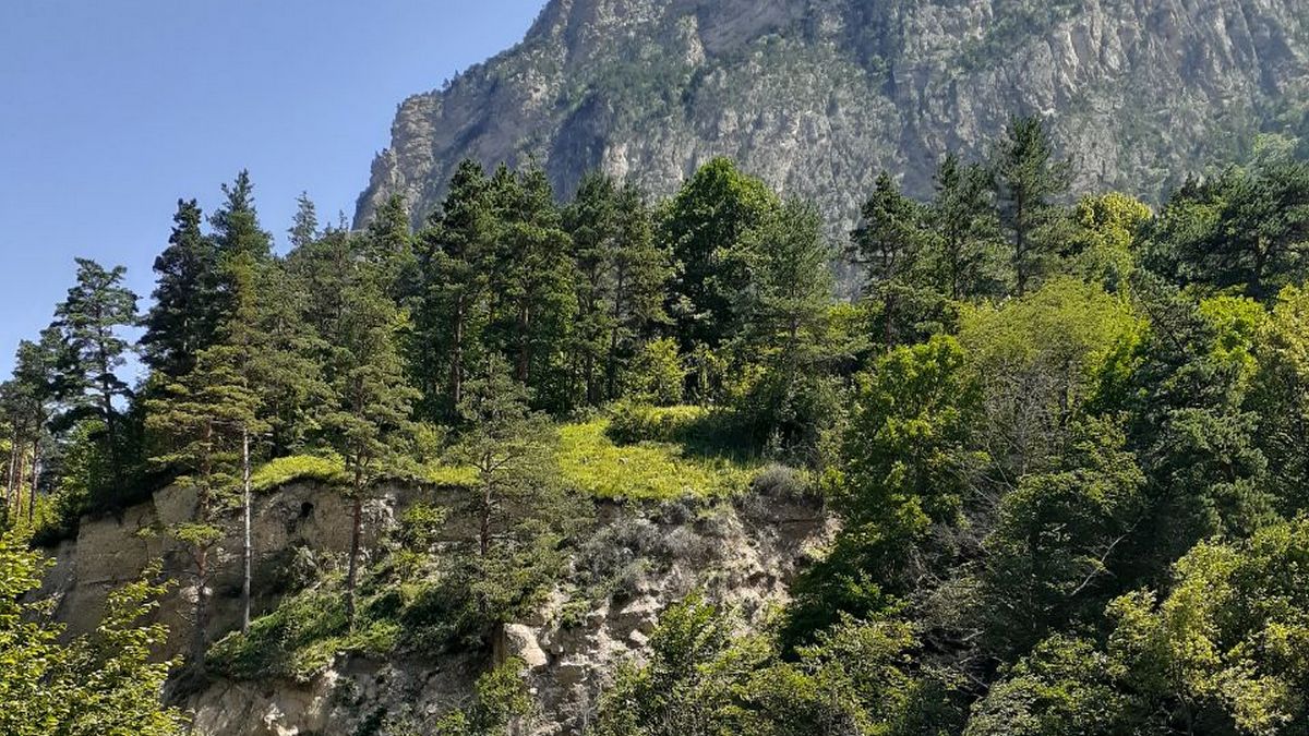 В Ингушетии специалисты повышают знания о тушении лесных пожаров