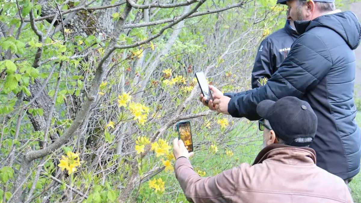 В Ингушетии провели выездное занятие для гидов-проводников
