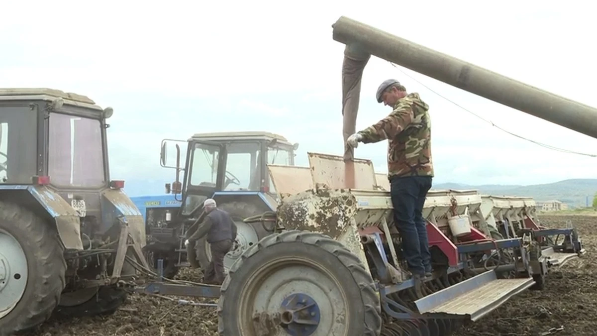 Новости Ингушетии: В Ингушетии наращивают местный продовольственный потенциал