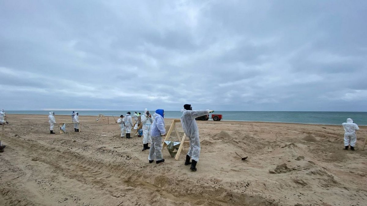 Новости Ингушетии: Ингушские студенты ликвидируют последствия экологической катастрофы в Анапе