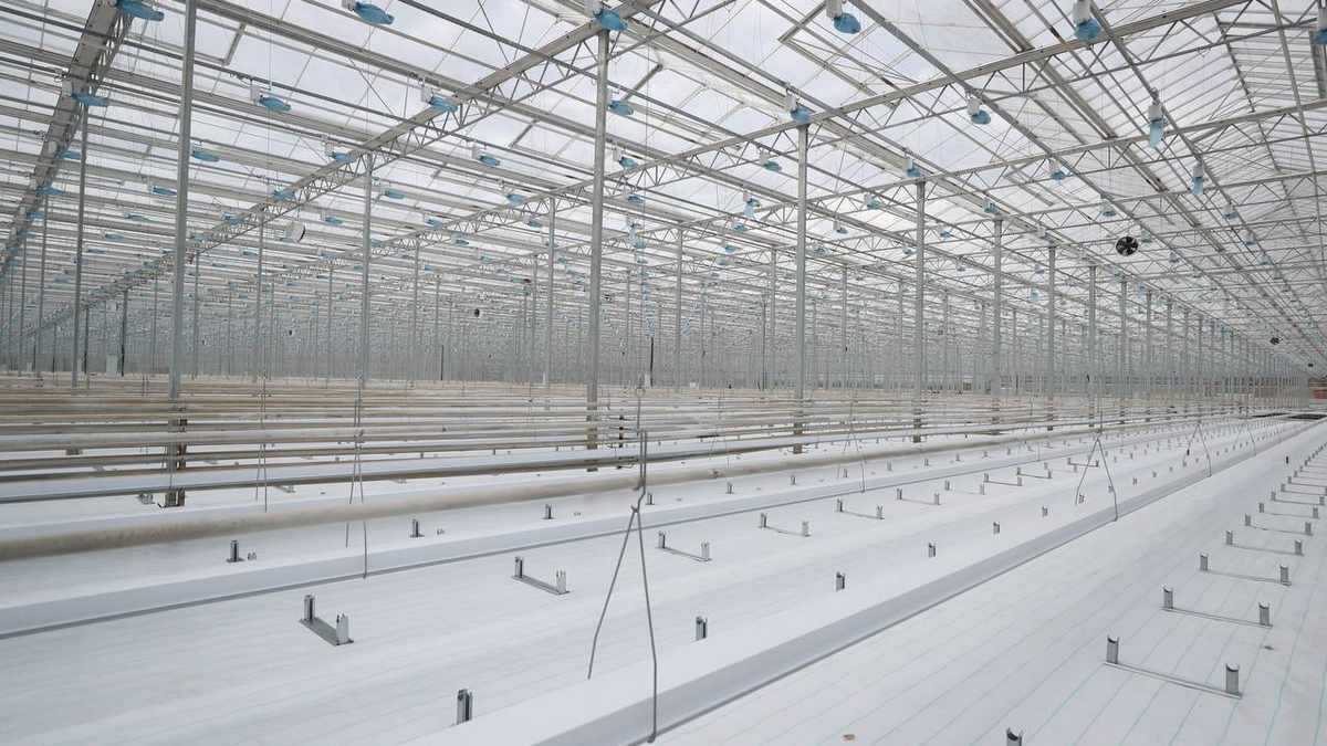 В Ингушетии на 7,7% возросло количество малых и средних предприятий