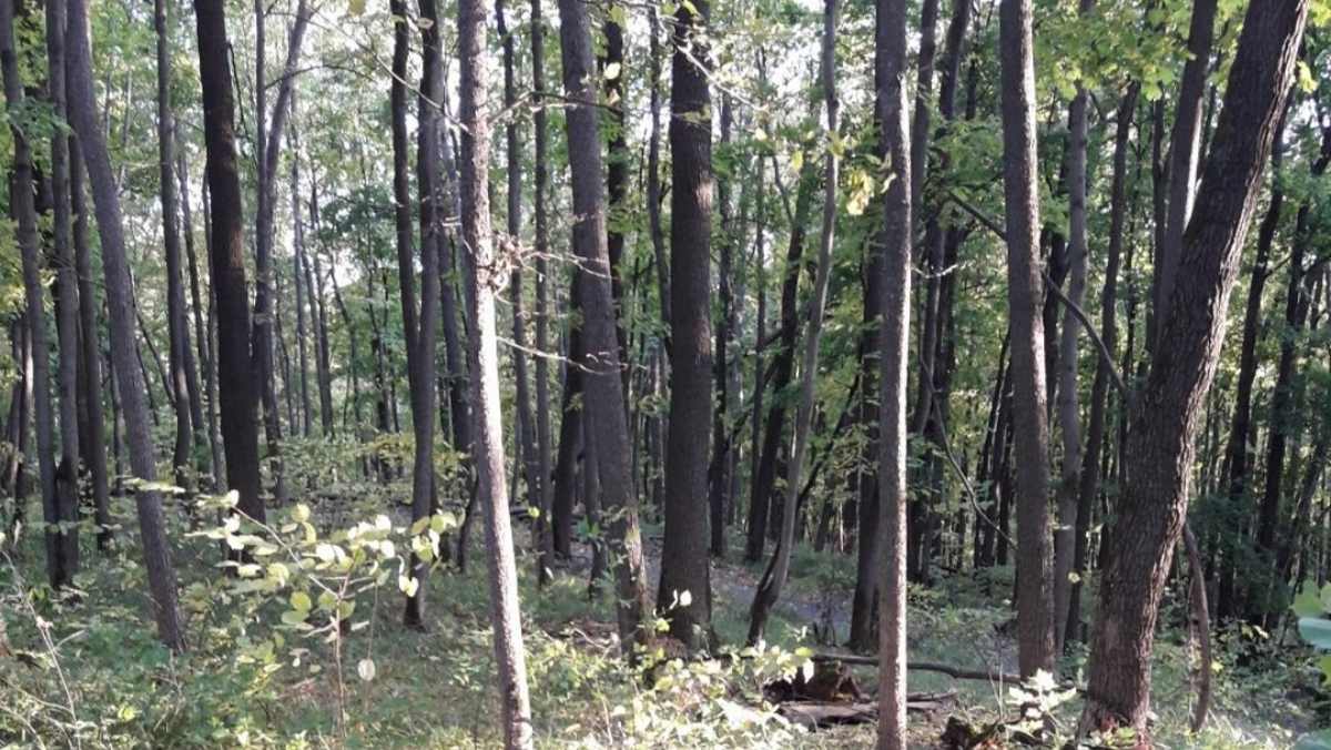 Любителей природы из Ингушетии пригласили к «Зеленому результату»